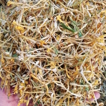 金银花统花野生品质保证一件代发