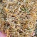 金银花统花野生品质保证一件代发