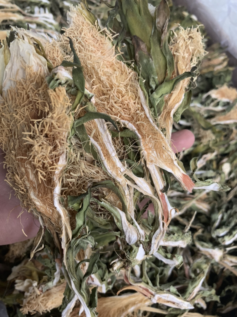 越南短霸王花剑花淘货源微商电商实体专业保密一件代发