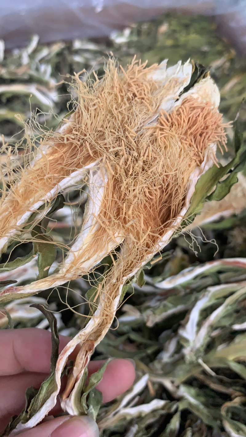 越南短霸王花剑花淘货源微商电商实体专业保密一件代发