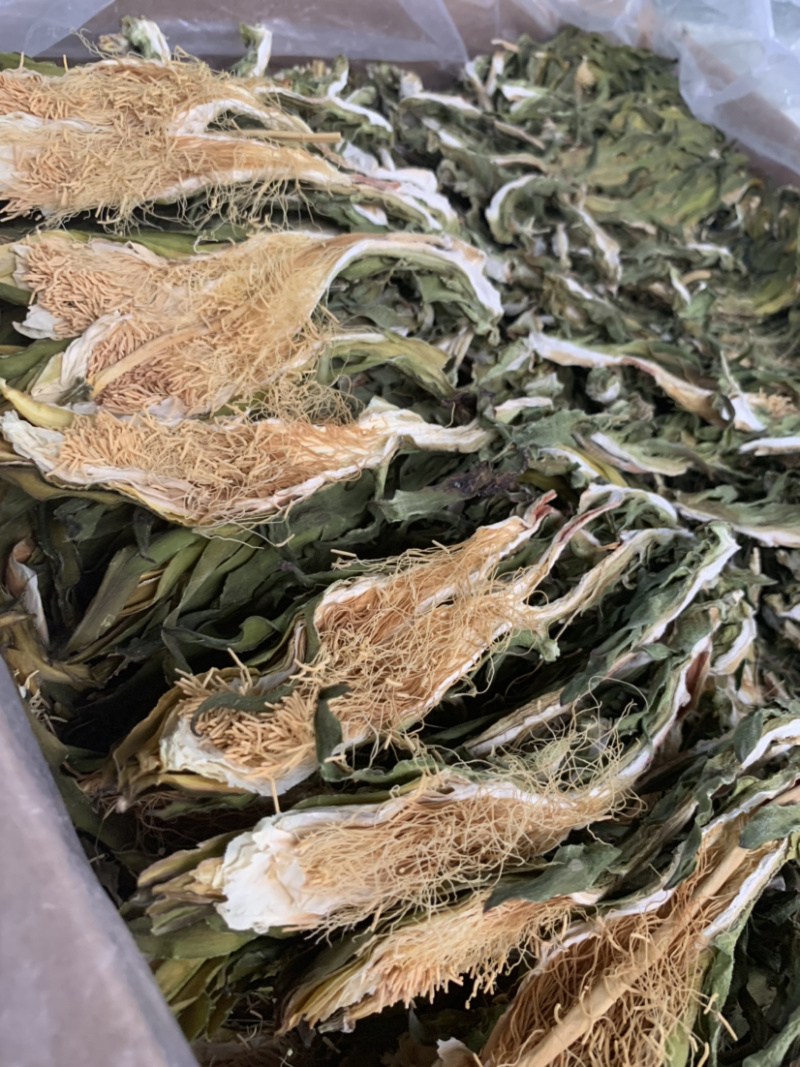 越南短霸王花剑花淘货源微商电商实体专业保密一件代发