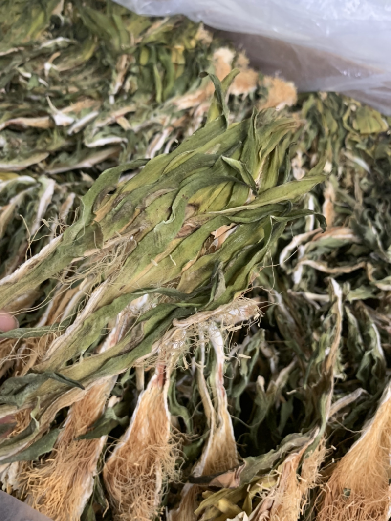 越南短霸王花剑花淘货源微商电商实体专业保密一件代发
