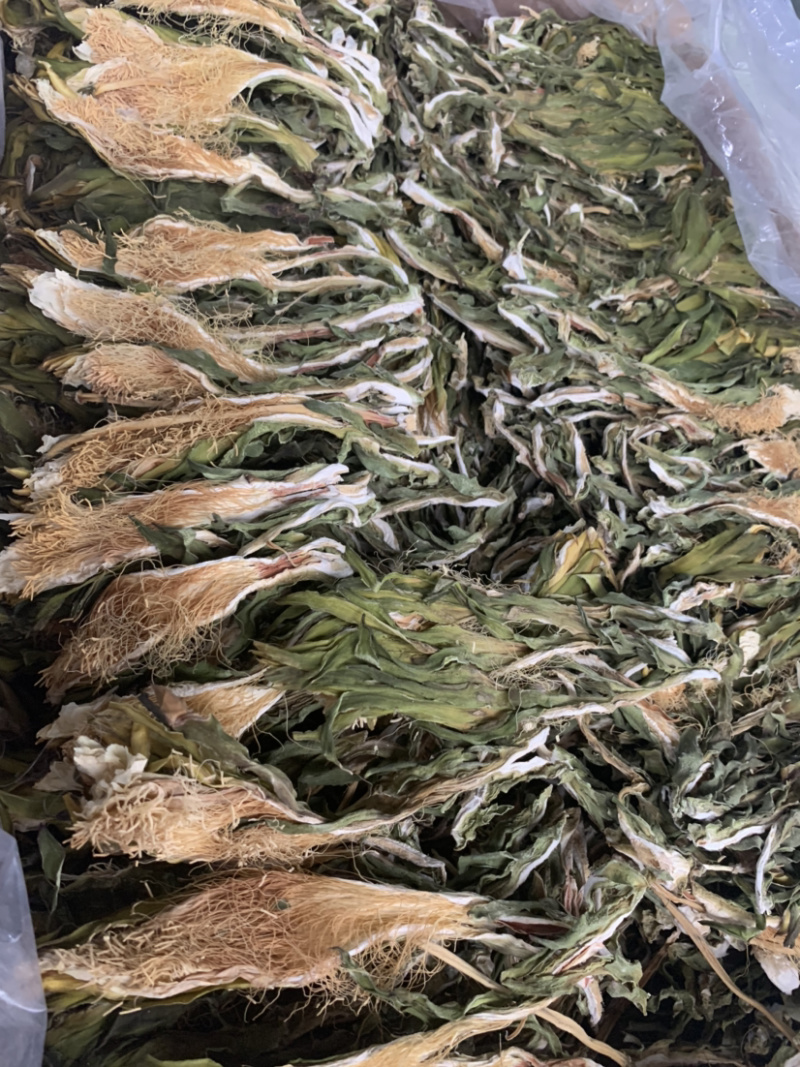 越南短霸王花剑花淘货源微商电商实体专业保密一件代发