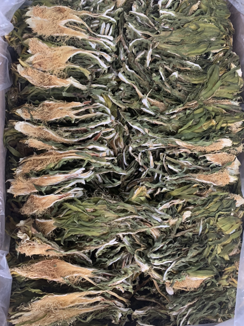 越南短霸王花剑花淘货源微商电商实体专业保密一件代发