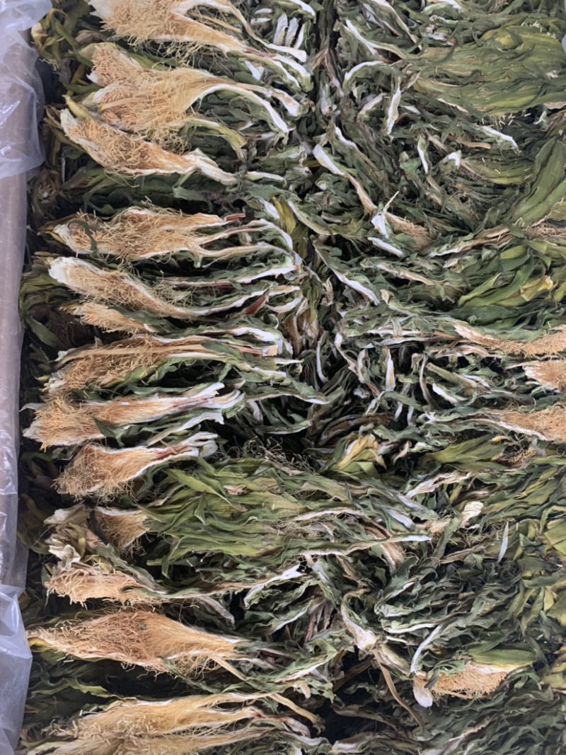 越南短霸王花剑花淘货源微商电商实体专业保密一件代发