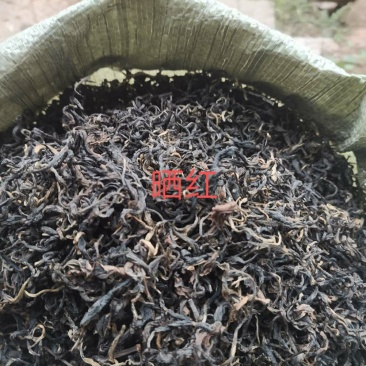 明前普洱，百年以上古树原料，一手货源，长期供应