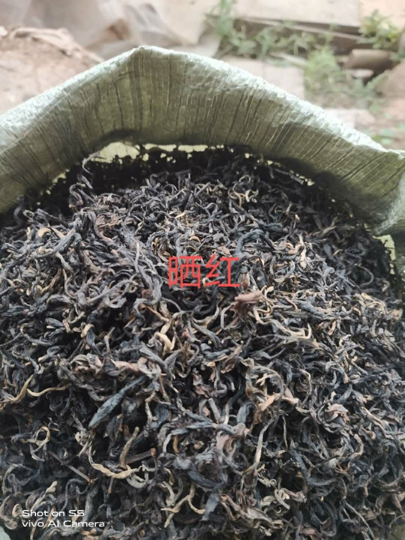 明前普洱，百年以上古树原料，一手货源，长期供应