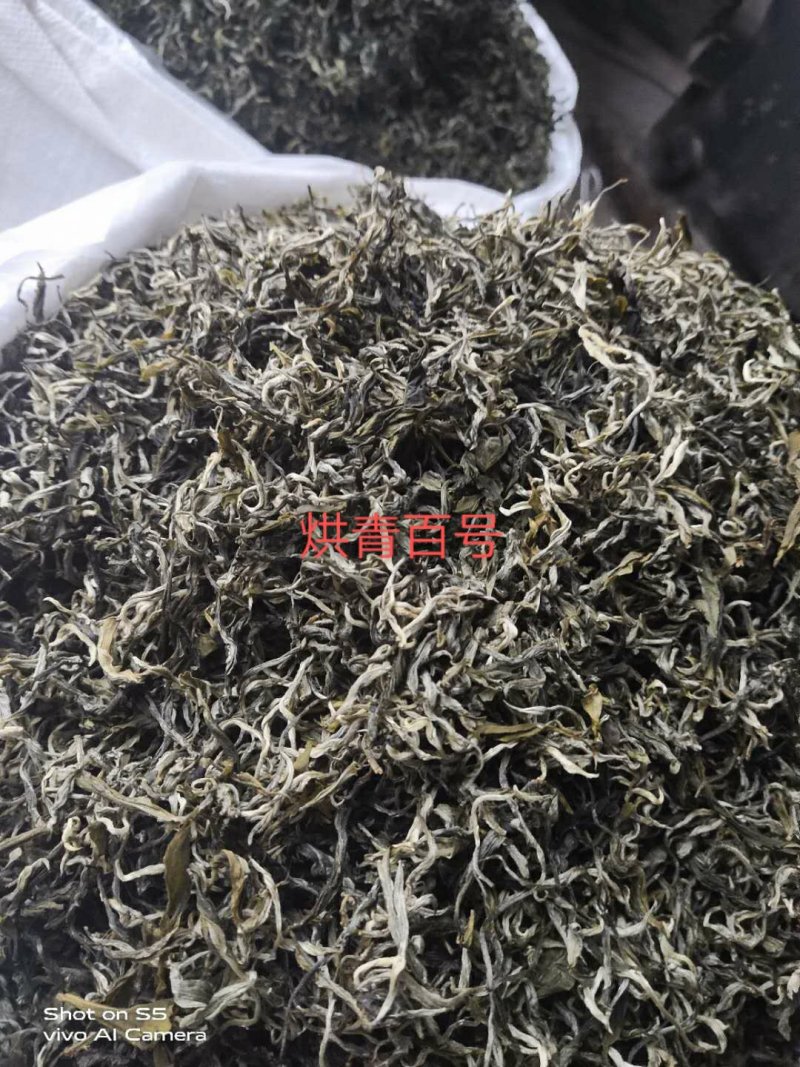 明前普洱，百年以上古树原料，一手货源，长期供应