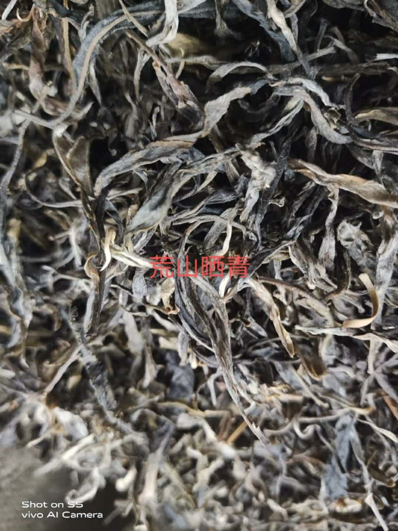 明前普洱，百年以上古树原料，一手货源，长期供应
