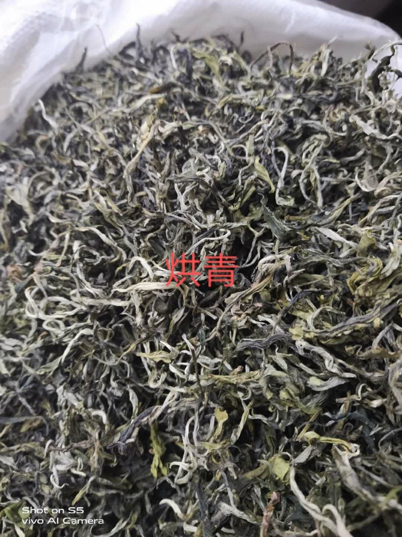 明前普洱，百年以上古树原料，一手货源，长期供应