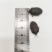 中药材精九香虫九香虫九香打屁虫九香虫初选