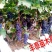 山东葡萄苗基地专业苗圃基地批发让农户放心种植品种纯正