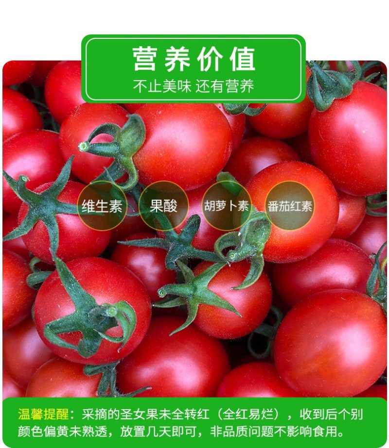 【顺丰包邮日发万单】鲜果源新鲜圣女果小番茄水果农家西红柿