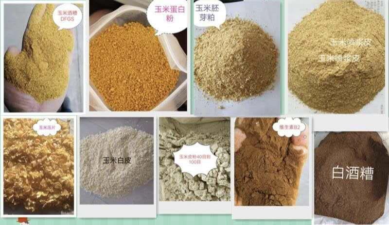 【精选好货】厂家长期销售玉米酒糟DDGS，养殖必备好料