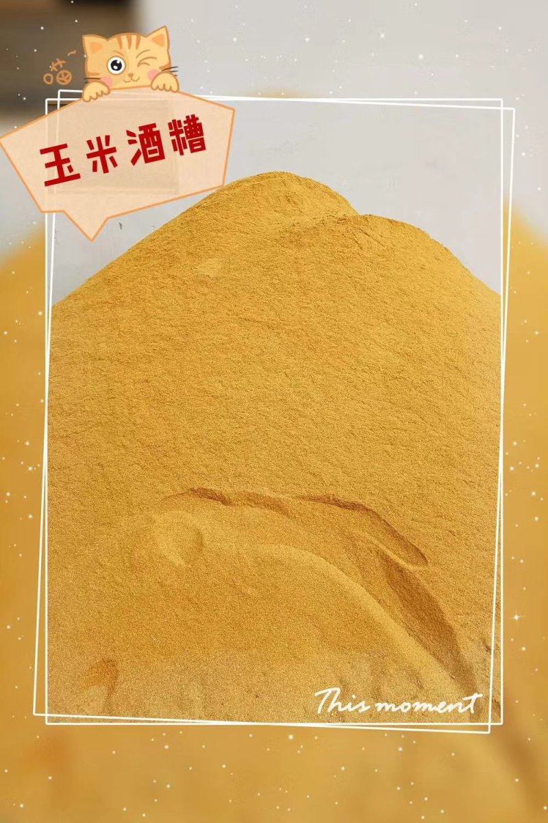 【精选好货】厂家长期销售玉米酒糟DDGS，养殖必备好料