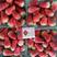 平度甜宝草莓苗，万苗育苗基地可视频看货，欢迎来人实地考察