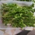 食用花草