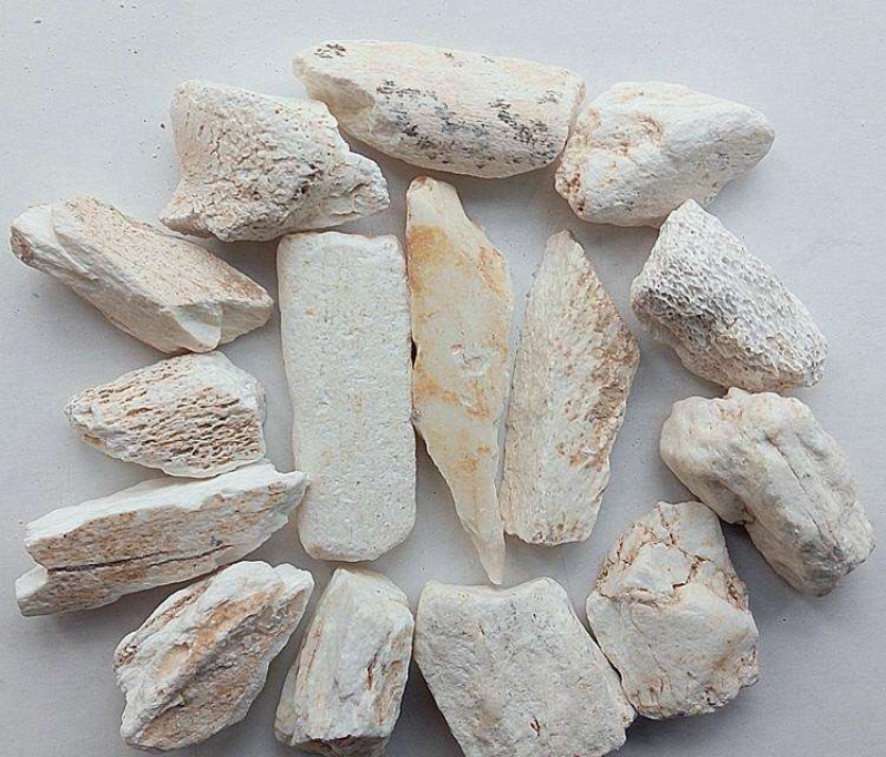 中药材矿石龙骨生龙骨土龙骨11111