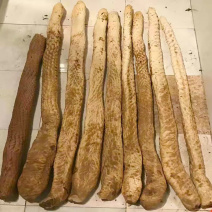 内蒙阿拉善新鲜肉苁蓉男性滋补泡酒料新鲜锁阳