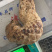 内蒙阿拉善新鲜肉苁蓉男性滋补泡酒料新鲜锁阳