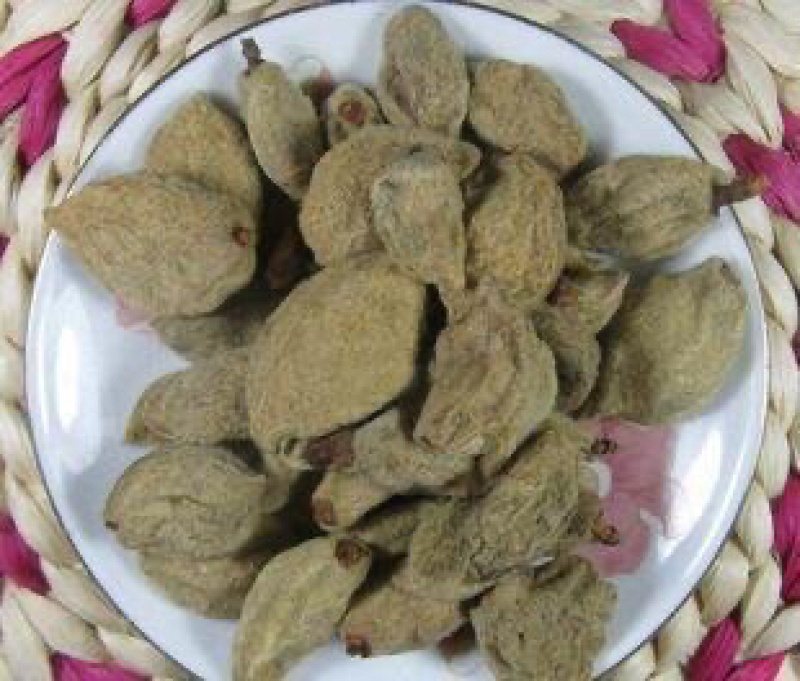 碧桃干四斤以上包邮瘪桃干桃奴阴桃干毛桃5