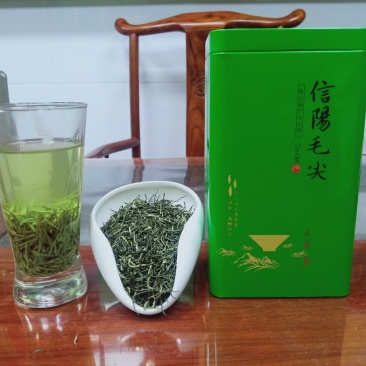 信阳毛尖新茶绿茶2020年雨前一级