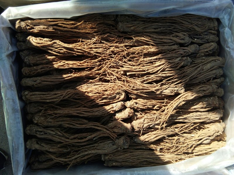 当归无硫新货，原产地放心购买，看不上可以退货