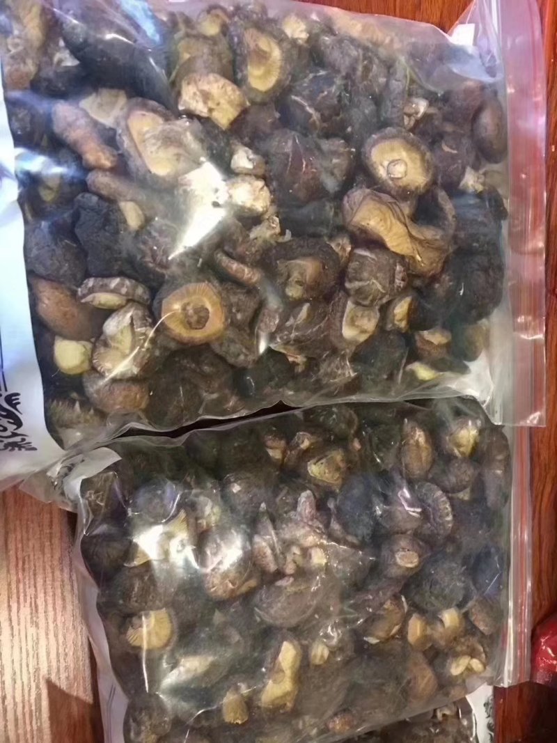 西藏天然珍珠菇大量供应产地直发质量保证量大优惠