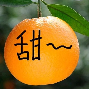 秭归脐橙
