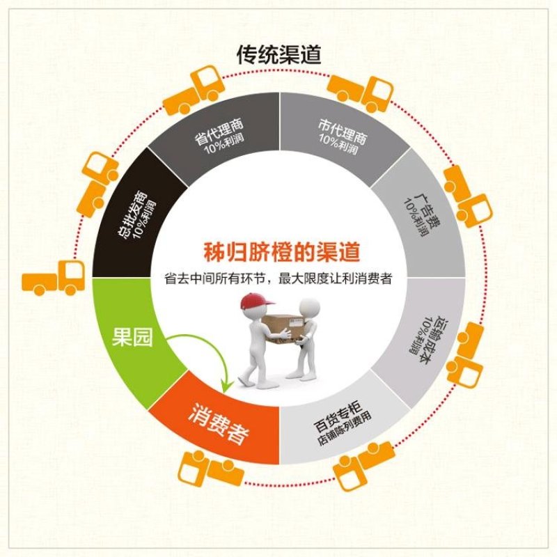秭归脐橙