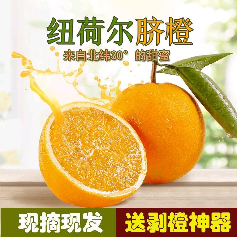 秭归脐橙