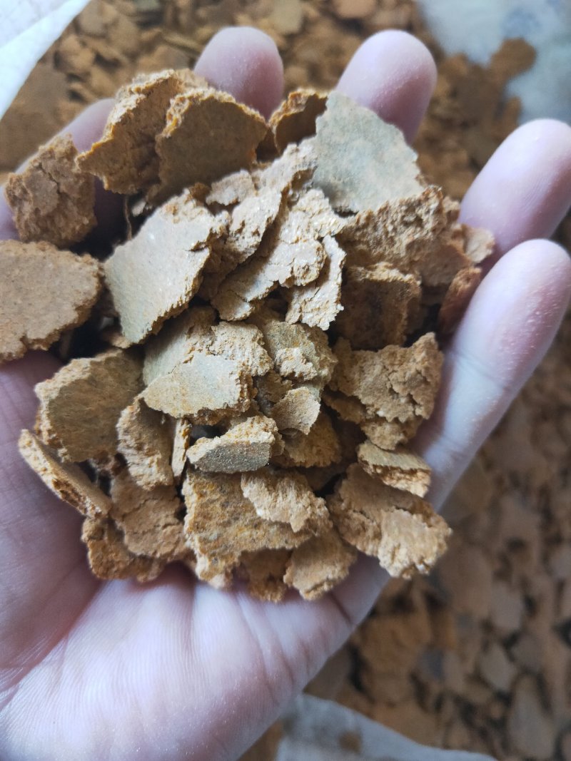 产家直供玉米油饼玉米胚芽饼牛羊猪鸡鸭鹅鱼虾等养殖育肥饲料
