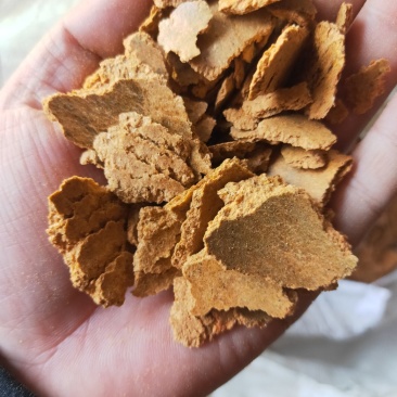 产家直供玉米油饼玉米胚芽饼牛羊猪鸡鸭鹅鱼虾等养殖育肥饲料