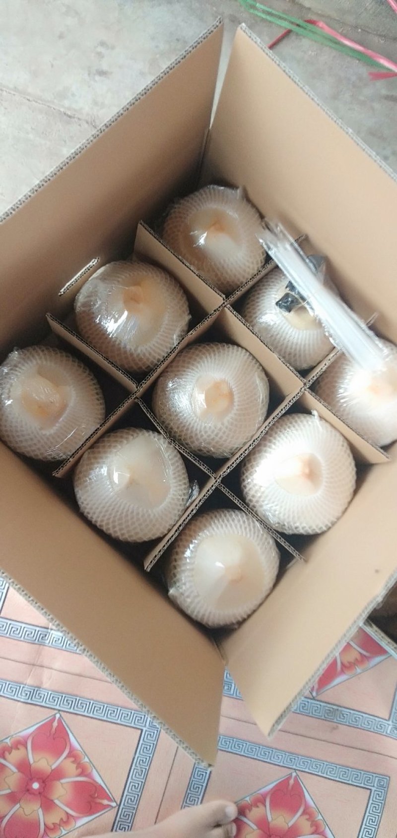 海南椰青
