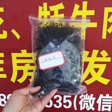 西藏山野薇菜大量供应产地直发质量保证价格美丽欢迎订购