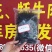 西藏山野薇菜大量供应产地直发质量保证价格美丽欢迎订购