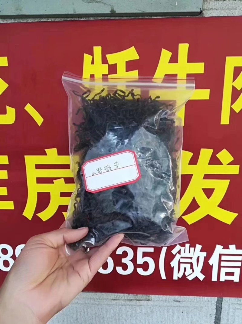 西藏山野薇菜大量供应产地直发质量保证价格美丽欢迎订购