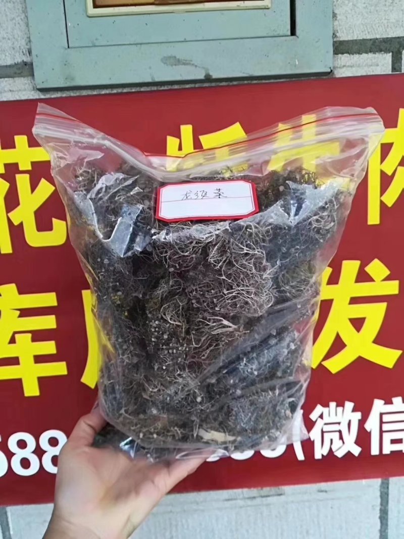 西藏龙须菜产地直供质量保证货源充足量大优惠欢迎下单