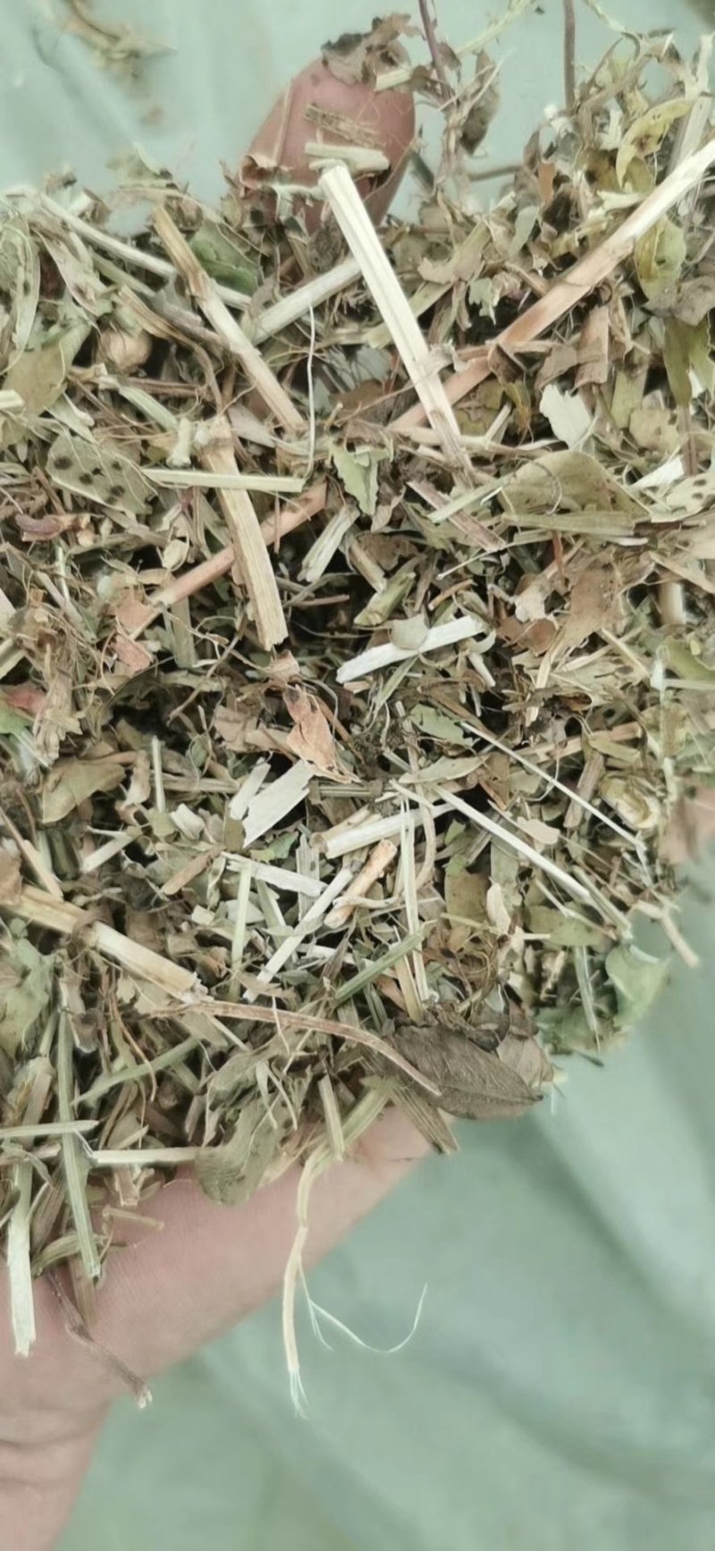 优质花生秧草料无土无地膜无霉变马牛羊的好饲料