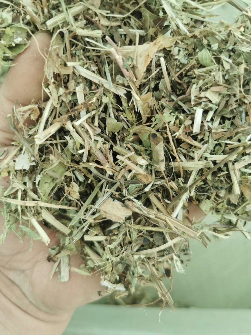 优质花生秧草料无土无地膜无霉变马牛羊的好饲料