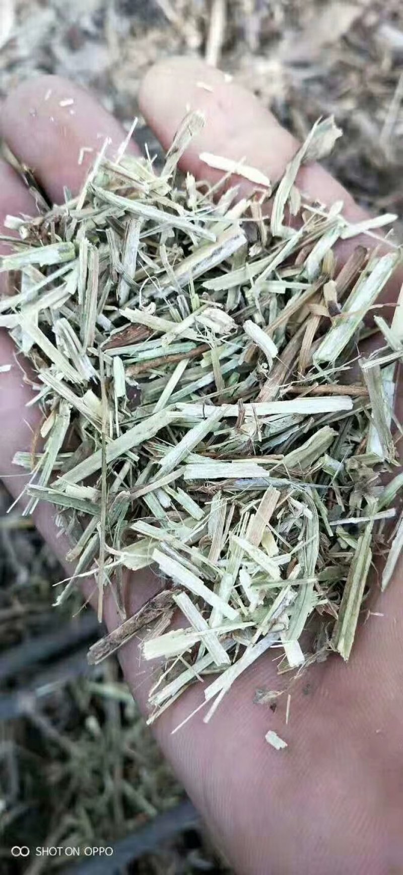 优质花生秧草料无土无地膜无霉变马牛羊的好饲料