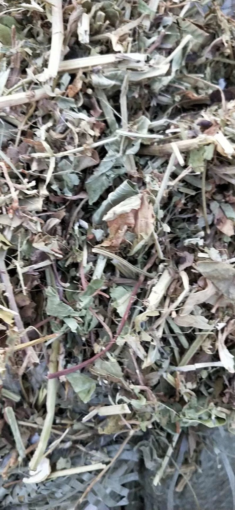 优质花生秧草料无土无地膜无霉变马牛羊的好饲料