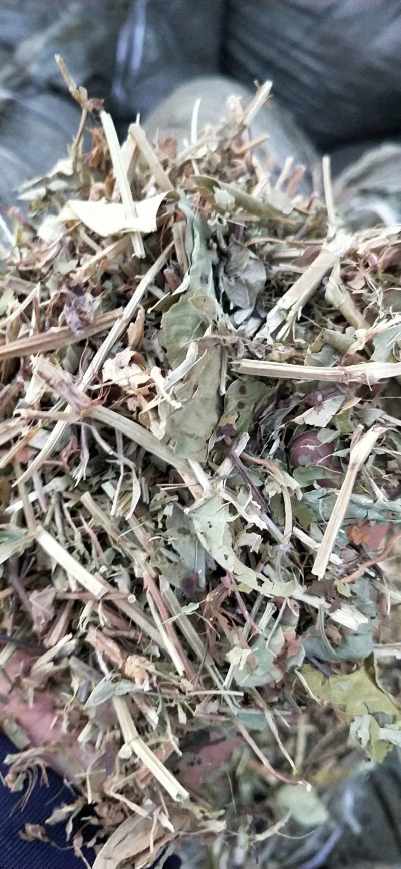 优质花生秧草料无土无地膜无霉变马牛羊的好饲料