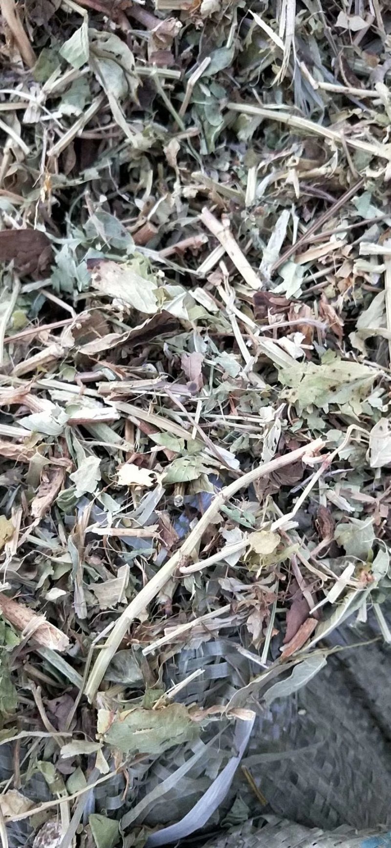 优质花生秧草料无土无地膜无霉变马牛羊的好饲料