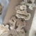 无硫白术，一手货源，各种规格，量大从优