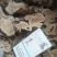 无硫白术，一手货源，各种规格，量大从优