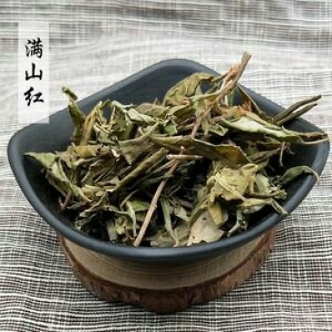 满山红，常年供应中药材，冷背满山红，映山红