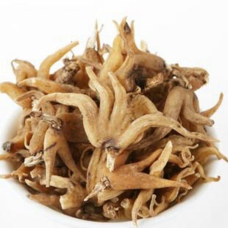 手参，常年供应冷背中药材，手参，手掌参中药材