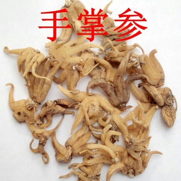 手参，常年供应冷背中药材，手参，手掌参中药材