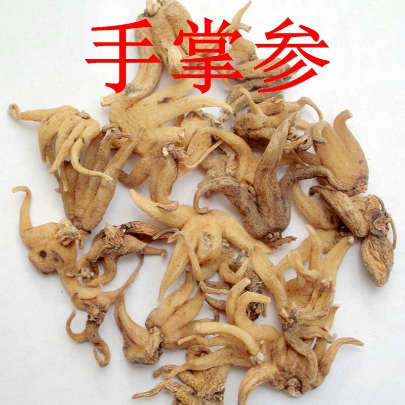 手参，常年供应冷背中药材，手参，手掌参中药材